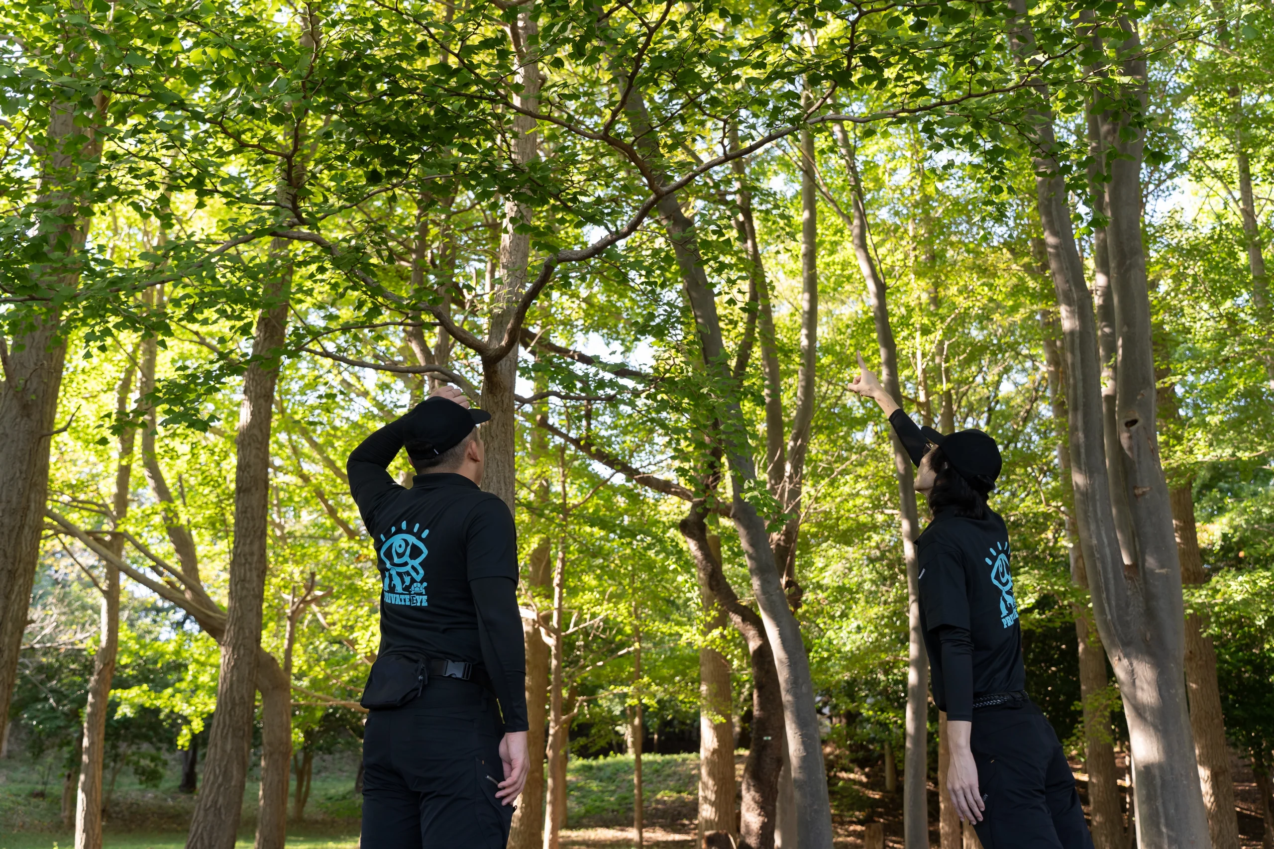 インコの捜索を行うペット探偵