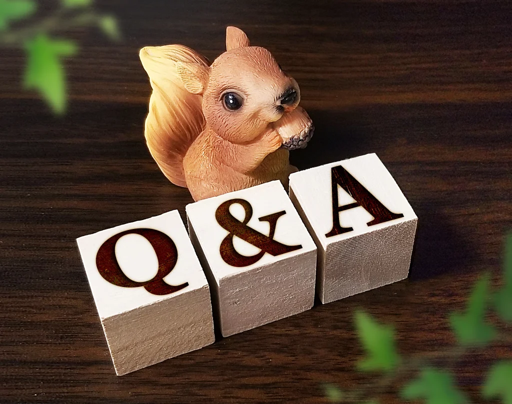 捜索に関するQ＆A
