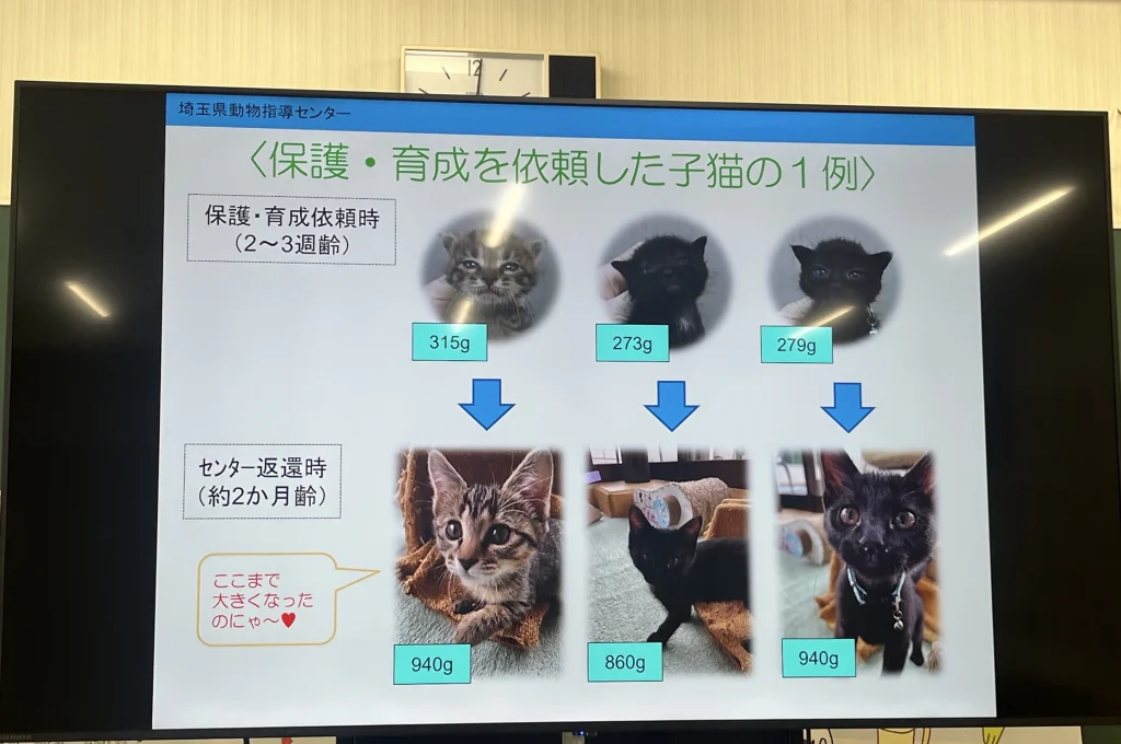 ミルクボランティアの実績