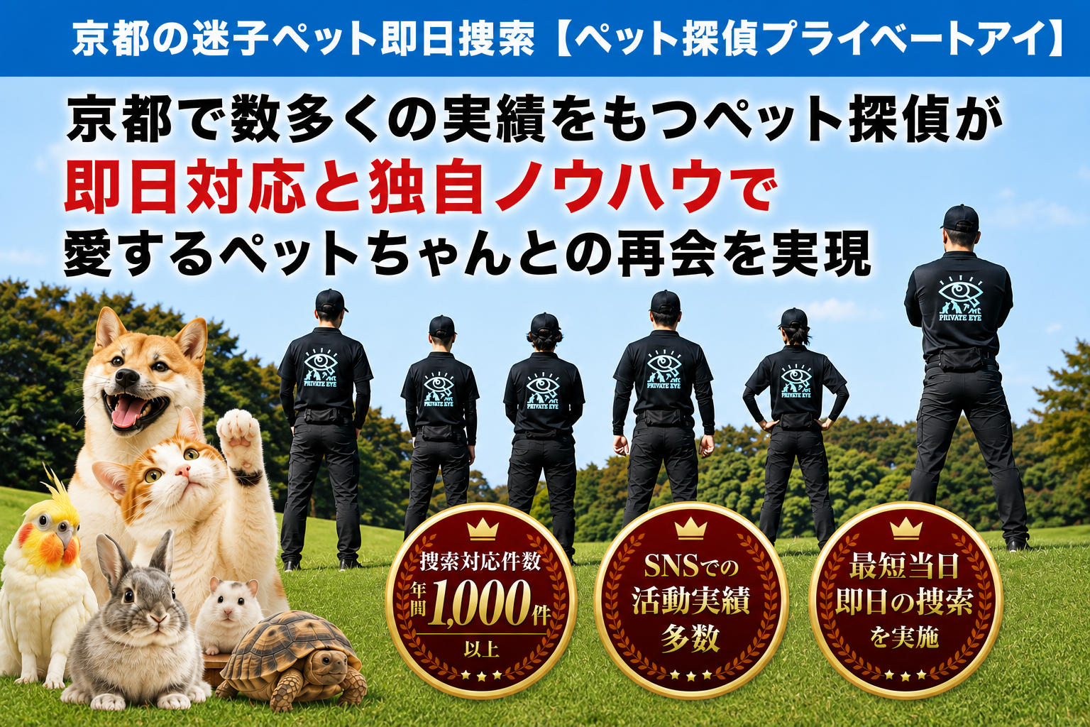 京都府のペット探偵はプライベートアイへお任せ