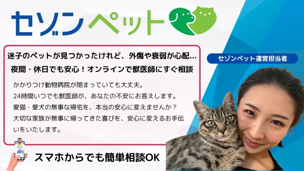 セゾンペットのオンライン診療をご紹介