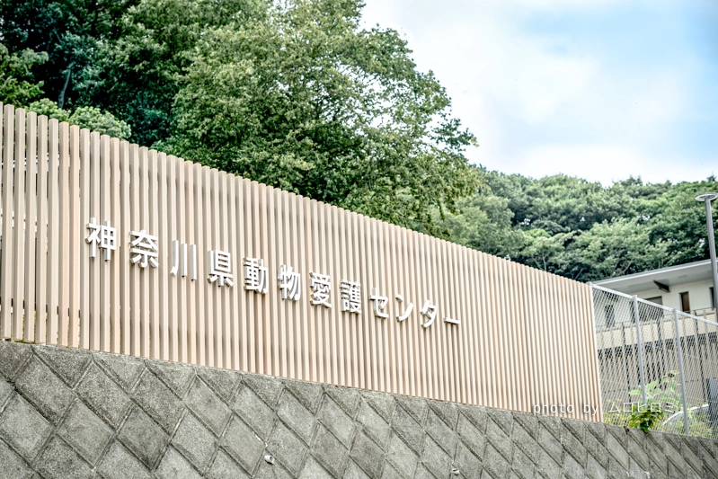 神奈川県動物愛護センター