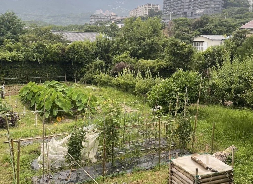 脱走した犬が隠れそうな場所